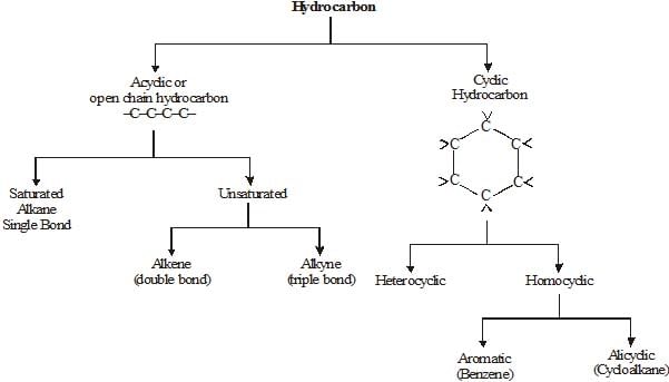 Carbon and its Compounds Class 10 Notes Science Chapter 4